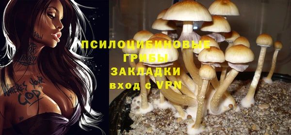 прущий лед Пересвет
