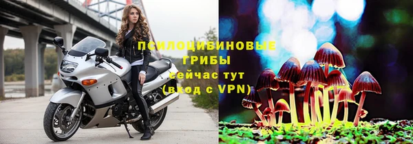 прущий лед Пересвет